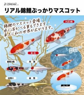 リアル錦鯉ぷっかりマスコット ガチャ