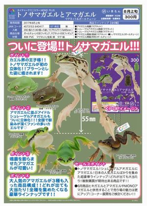 トノサマガエルとアマガエル ガチャ