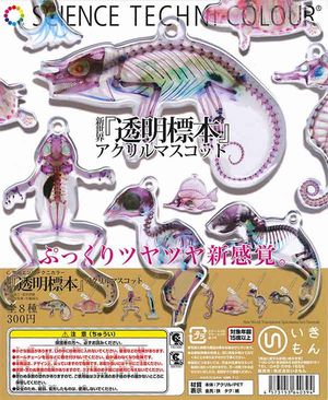 サイエンステクニカラー 新世界「透明標本」 アクリルマスコット
