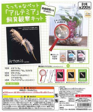 ちっちゃなペット「アルテミア」飼育観察キット ガチャ
